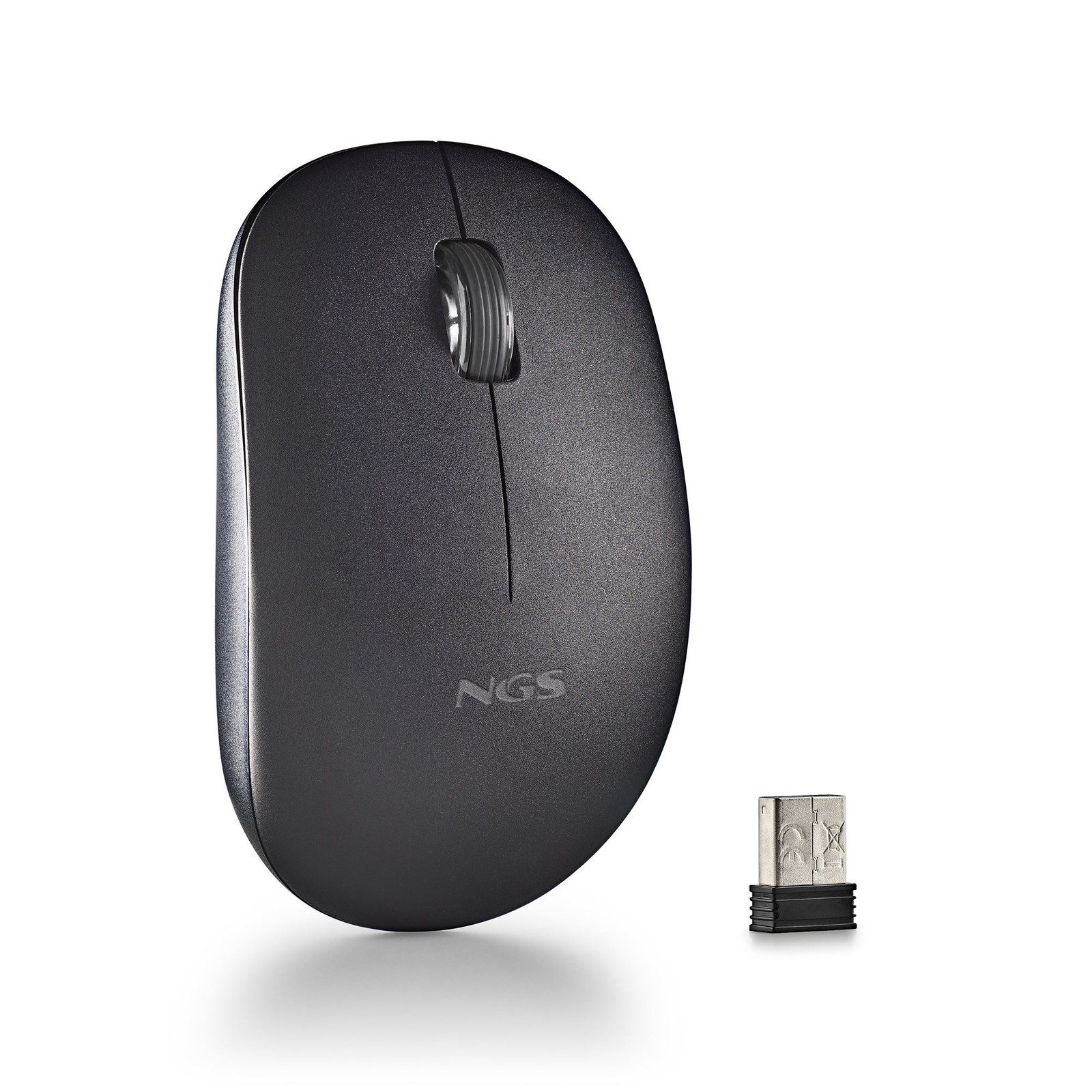 Vue 1 souris NGS